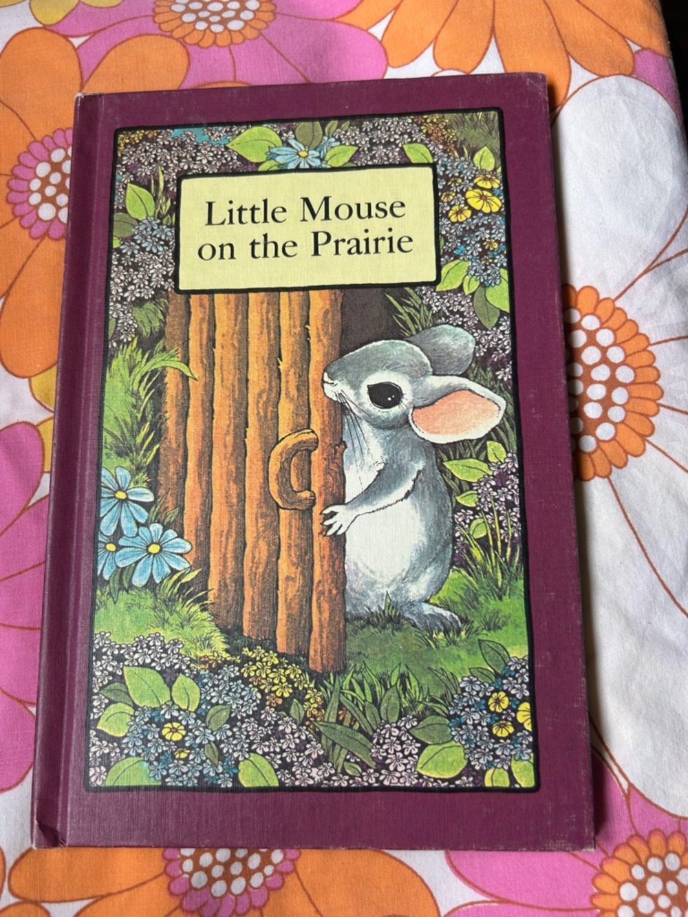 2 for $25 Little Mouse on the Prairie Hardcover Book